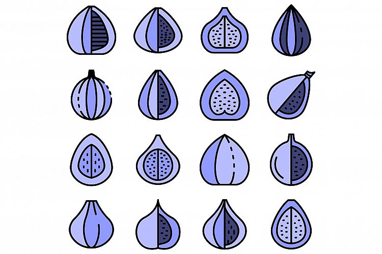 Fruit Vector Image 16