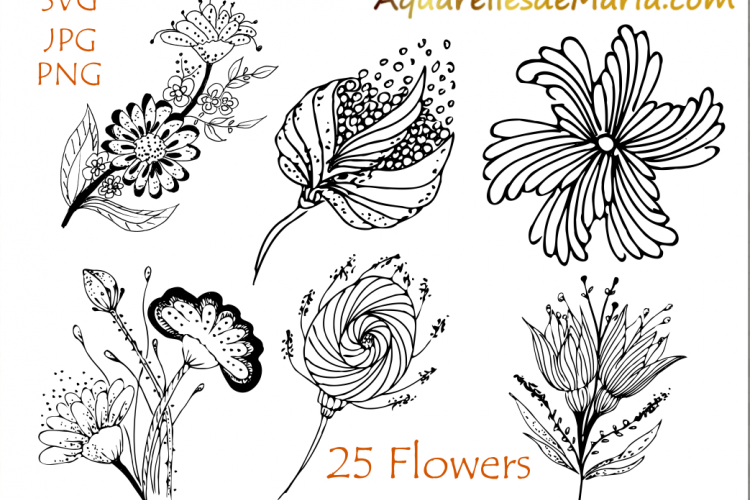 Flower Hand Drawn Vector Silhouette