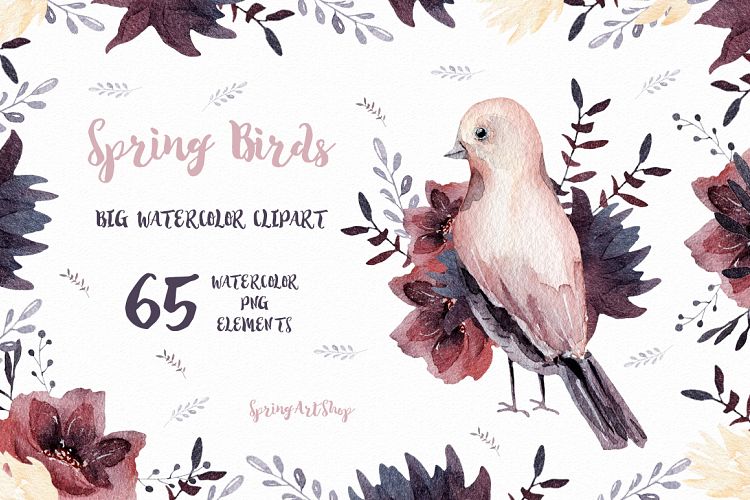 Spring birds Big watercolor clipart