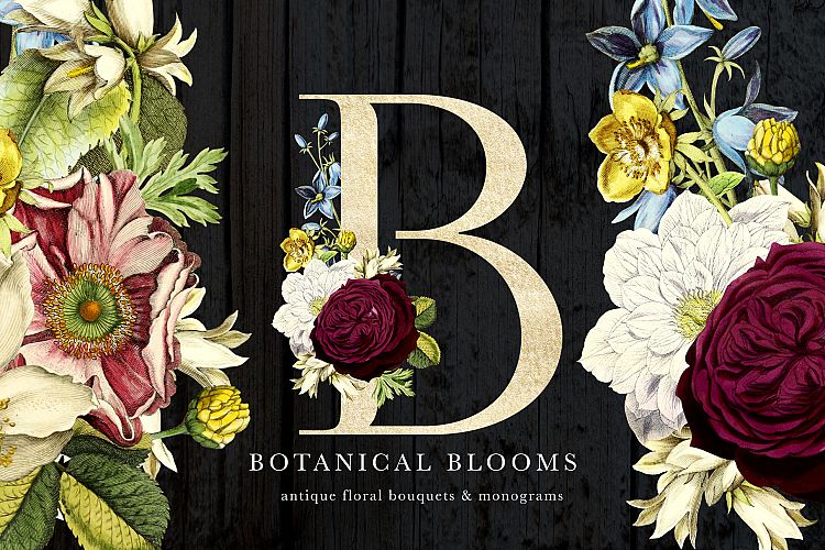 Botanical Blooms and Monograms