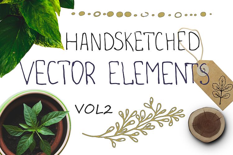 Handsketched floral elements. VOL2