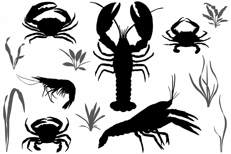 Crustaceans