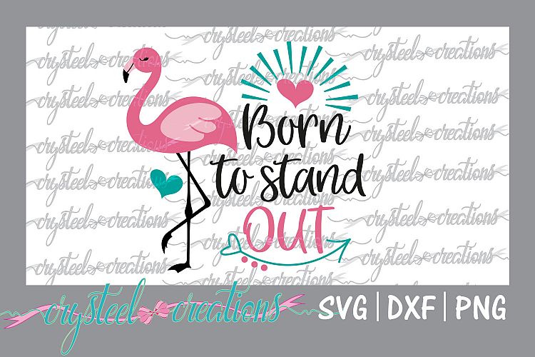 Born to Stand Out -Flamingo 