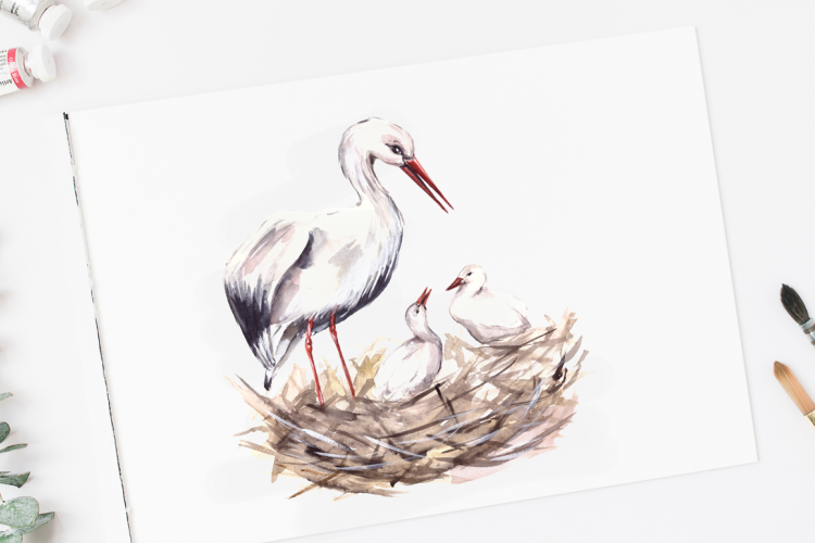 Storks Watercolor Clip Art and Print