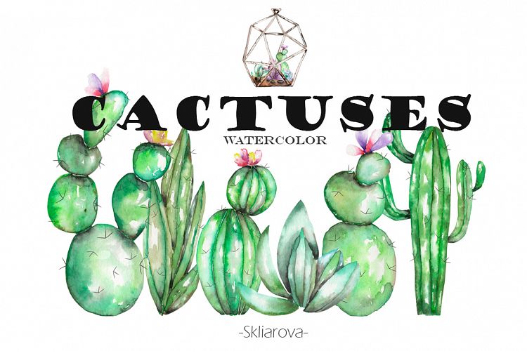 Watercolor Cactuses clipart