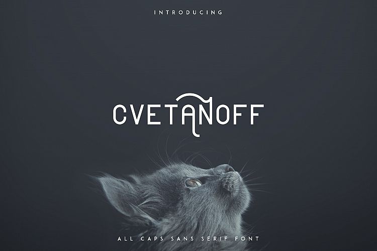 Cvetanoff Sans Serif