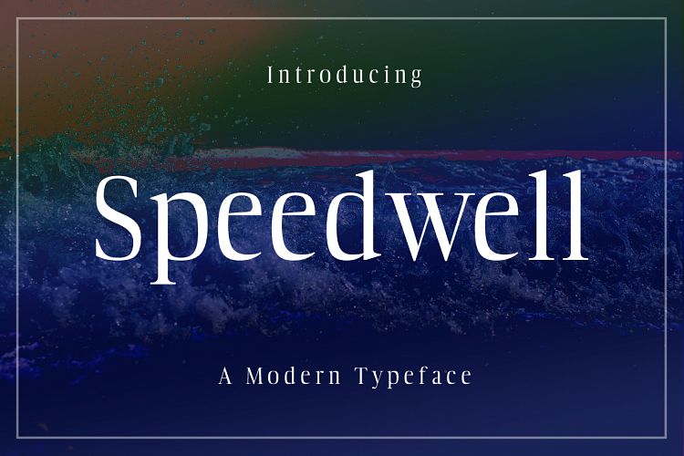 Speedwell