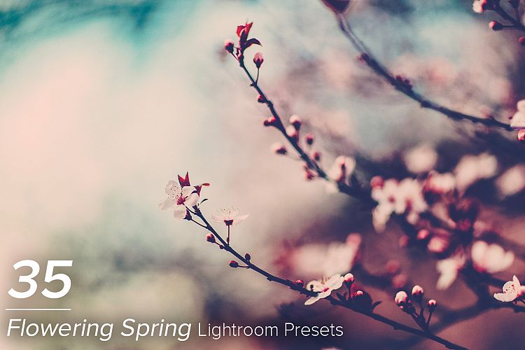 35 Flowering Spring Lightroom Presets