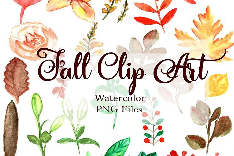 Autumn Watercolor Clipart. Fall Leaves and Flowers PNG.