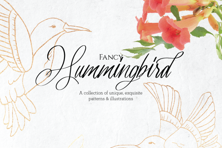 Fancy Hummingbird Collection