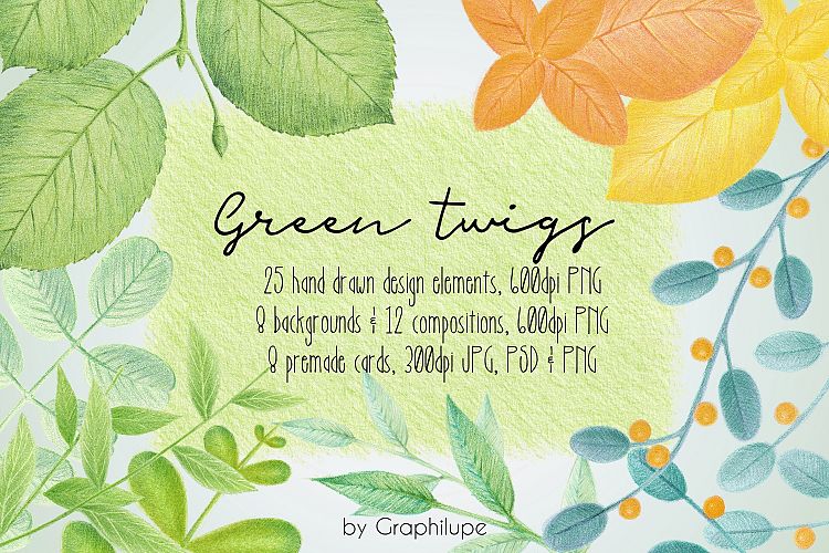 Green Twigs - Hand-drawn Illustration Kit