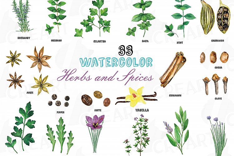 Herbs and Spices clip art pack, Watercolor herbs and spices chart, kitchen herbs, food print. PNG, jpg, svg, vector illustrator &corel files