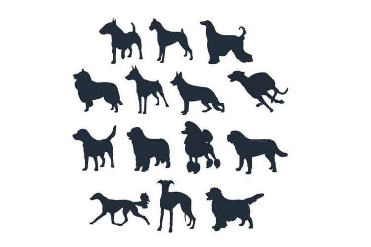 Dog Silhouette Embroidery Bundle Large Dog Breeds Set of 14