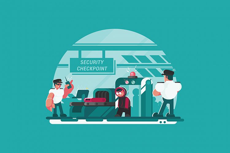 Security Checkpoint - Vector Activity