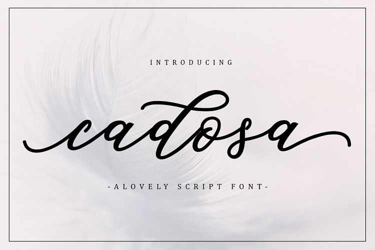 Cadosa Script
