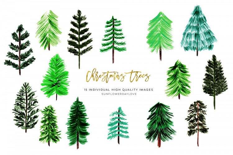 Conifers Trees clip art, Christmas Trees clip art, Handpaint