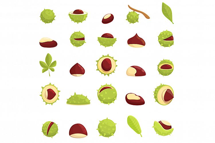 Chestnut icons set, cartoon style