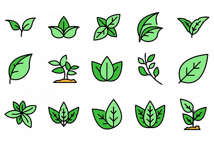 Leaf Outline Clipart Image 17