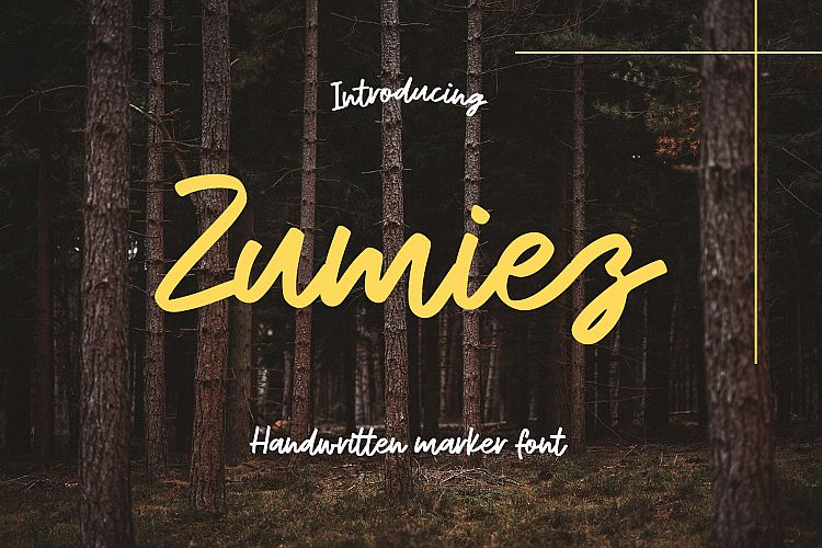 Zumiez