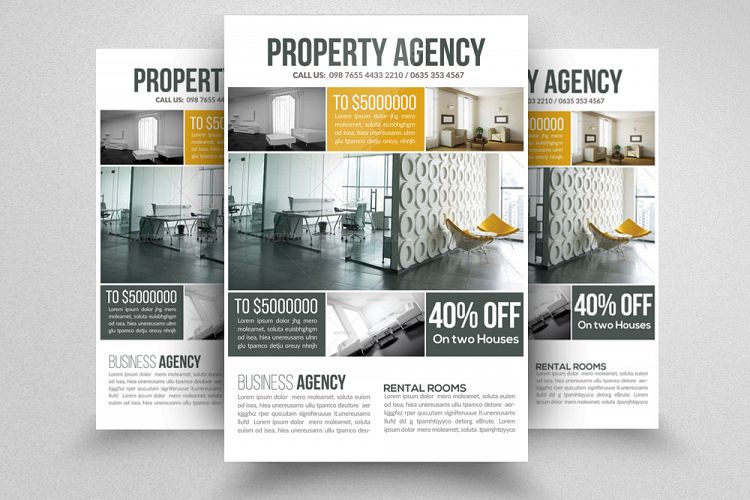 Real Estate   Property Flyer