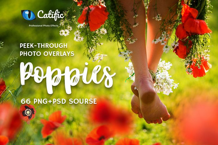 66 Poppie Flowers Photo Overlays