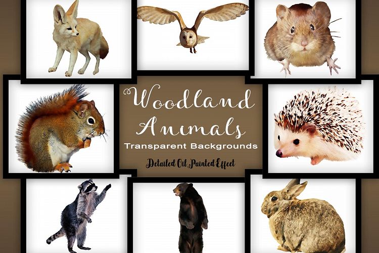 Woodland Animal Set V1