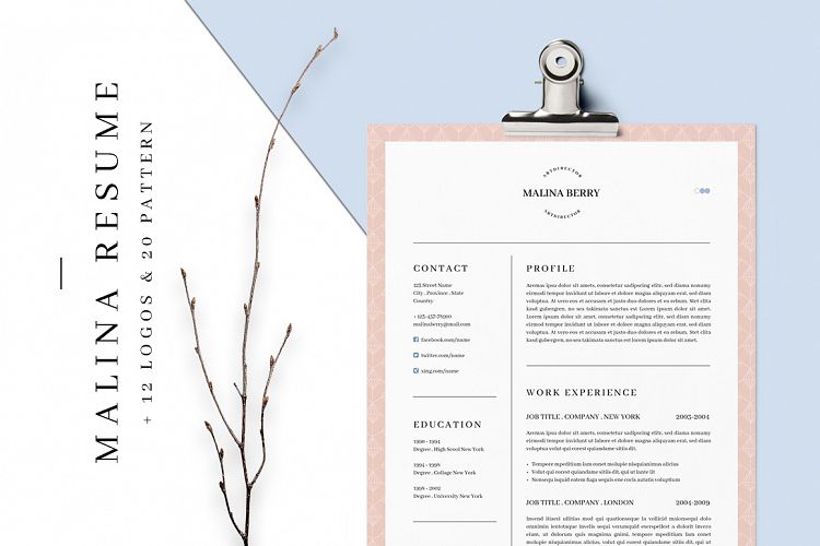 MALINA Resume – 3 Pages + Bonus