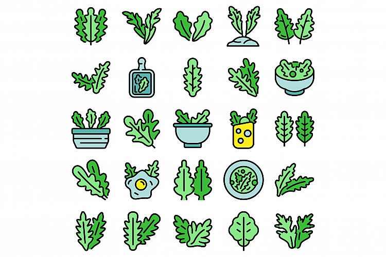 Arugula icons set vector flat example image 1