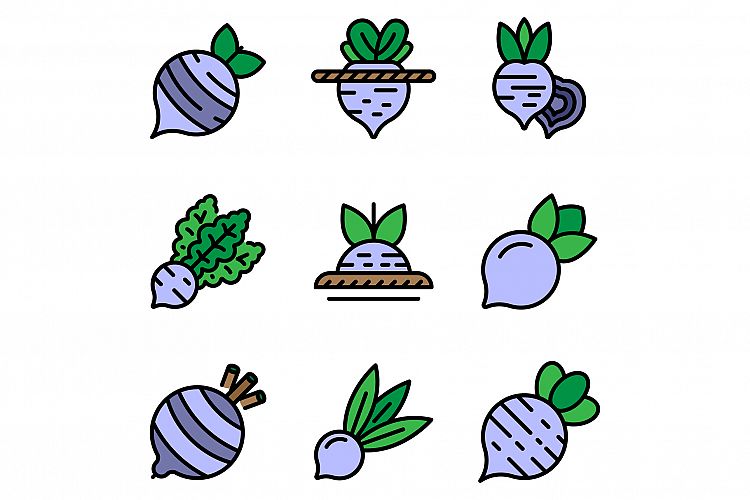 Beet icons set vector flat example image 1