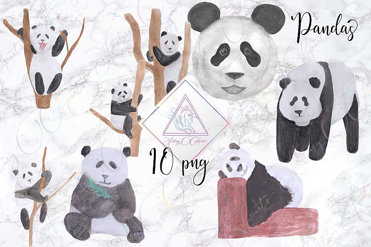 Hand Drawn Watercolor Panda Clipart