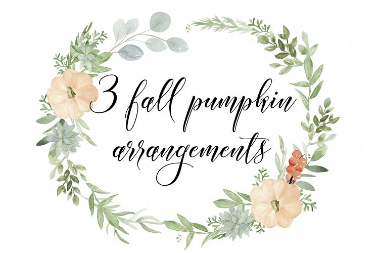 3 fall Pumpkin, succulent and greenery arrangements - PNG