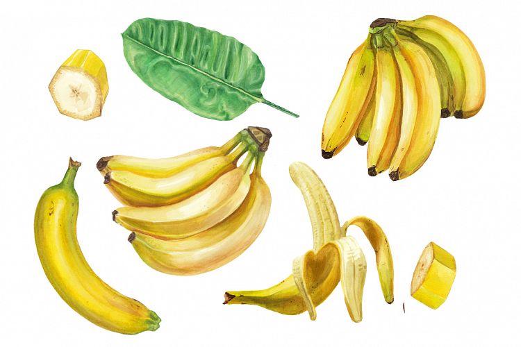 Watercolor banana collection