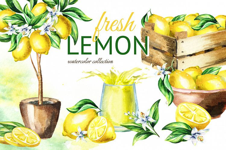 Fresh Lemon. Watercolor collection