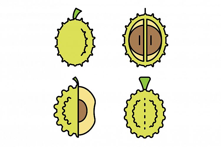 Durian icons set vector flat