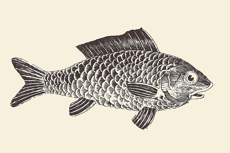 Fish (Bream)