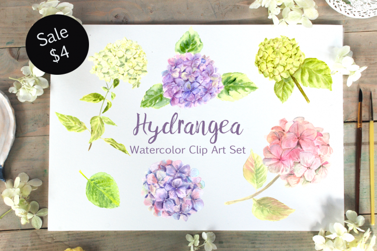 Watercolor Hydrangea Clip Art Set bonus wreath and pattern