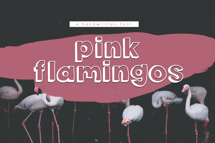 Pink Flamingos - Handwritten Bubble Font