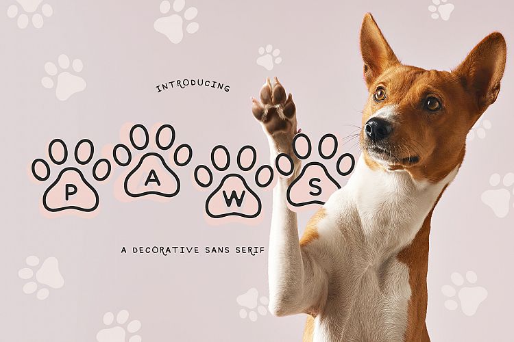 Paws