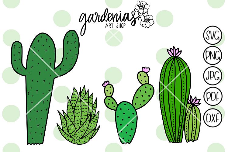 Succulent Bundle