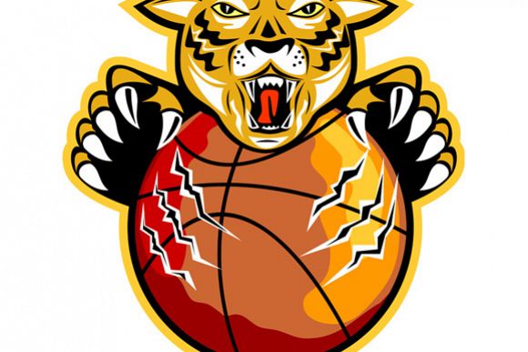 Tiger Basketball Ball Claws example image 1