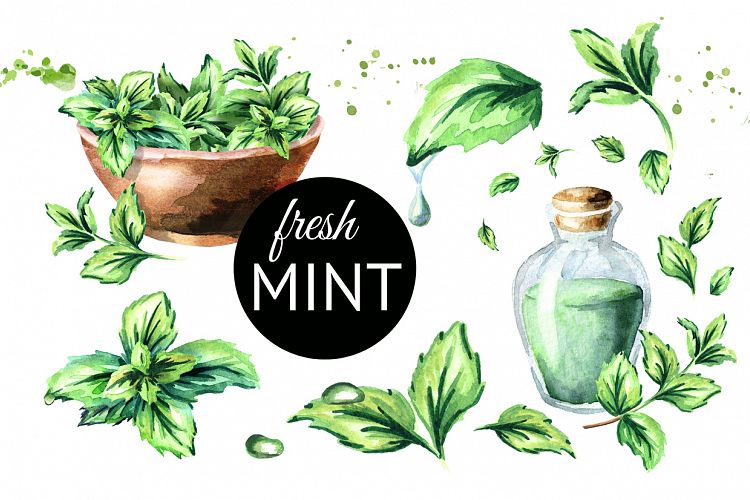 Fresh mint