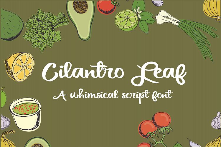 PN Cilantro Leaf