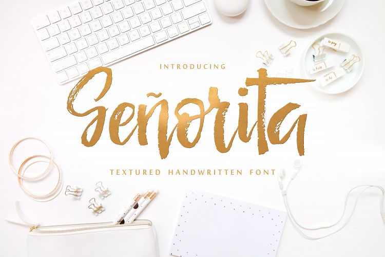 Señorita Handwritten Textured Font