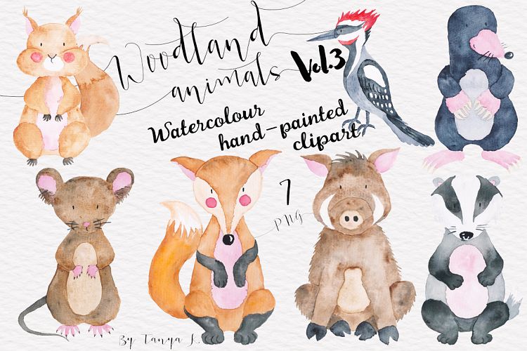 Watercolor Cute Woodland Animals