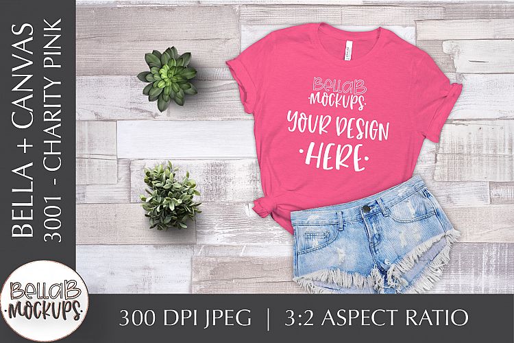 Download Bella Canvas 3001 Woman's T Shirt Mockup, Charity Pink (289975) | Clothing | Design Bundles