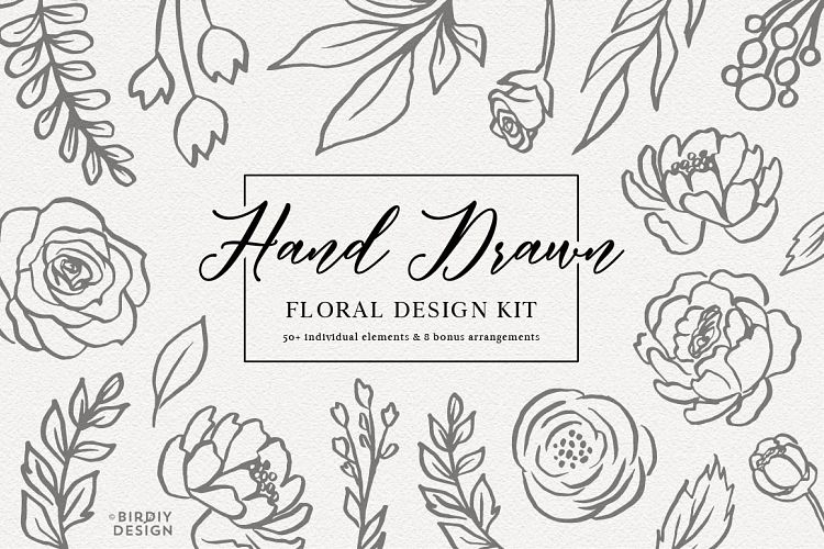 Floral Botanical Illustrations