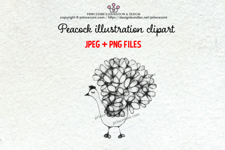 PEACOCK illustration clipart 