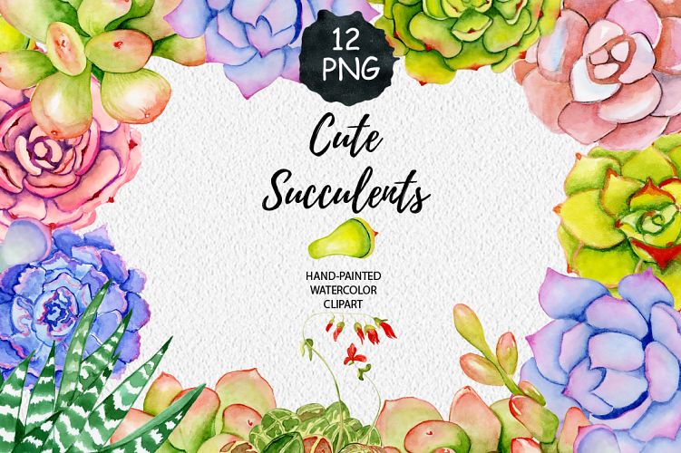 Succulents watercolor clipart
