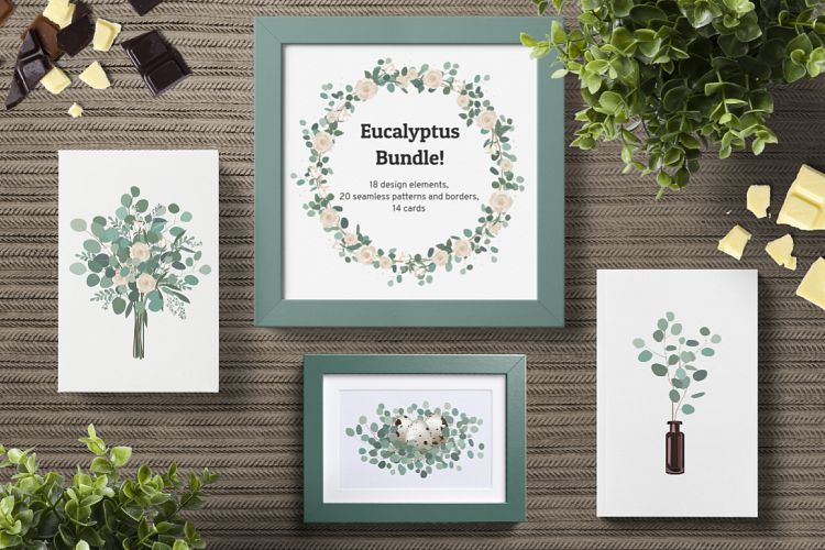 Eucalyptus Bundle