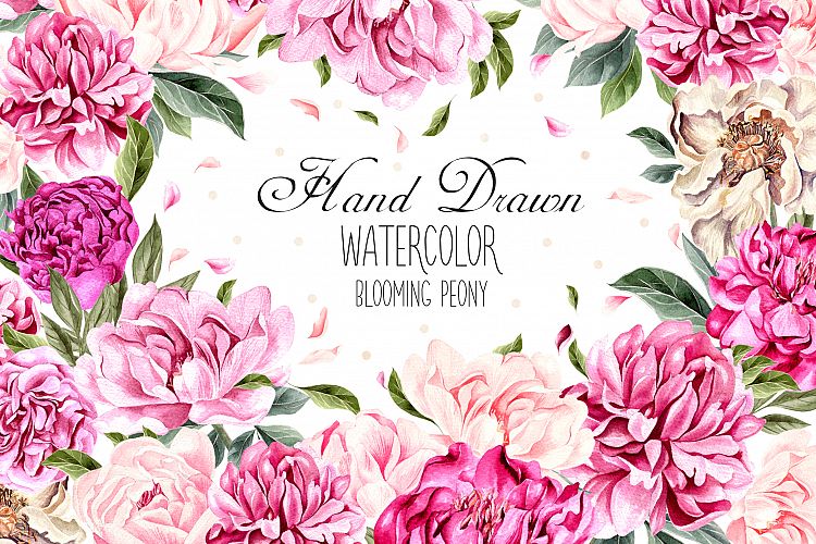 Hand Drawn Watercolor Blooming Peony